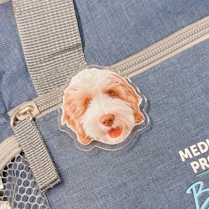 May include: A clear plastic keychain with a photo of a brown and white dog with a pink tongue sticking out.