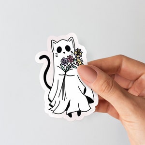 Ghost Cat