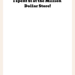 I spent 1 dollar at the million dollar store