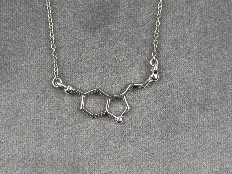 Silver Serotonin Molecule Necklace Science Pendant Science Dopamine Chemistry Gift Science Jewelry Chemistry Pendant Gift For Her image 1