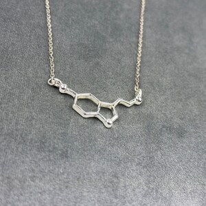 Silver Serotonin Molecule Necklace Science Pendant Science Dopamine Chemistry Gift Science Jewelry Chemistry Pendant Gift For Her image 3