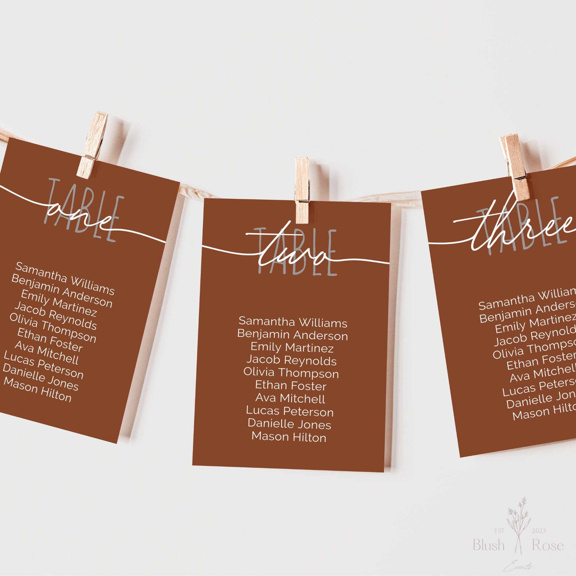 Modern Seating Chart Cards, Wedding Seating Chart Template, Terracotta