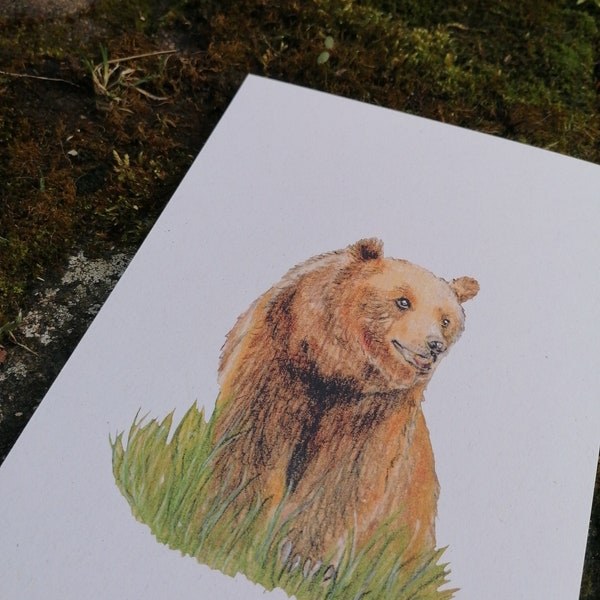 Wunderbarer Grizzly Kunstdruck