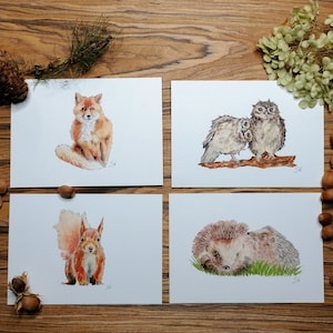 Cartes postales merveilleusement peintes à la main - animaux de la forêt