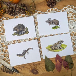 Op de afbeelding: Vier aquarelprints met bosdieren: een bever, een muis, een salamander en een kikker. Elk dier is afgebeeld op een witte kaart met een natuurlijke achtergrond. Het kunstwerk is omgeven door decoratieve elementen.