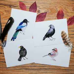 Cartões postais maravilhosamente pintados à mão - Pássaros 3