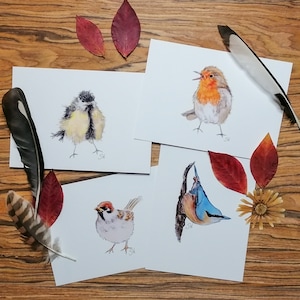 Cartões postais maravilhosamente pintados à mão - pássaros 1