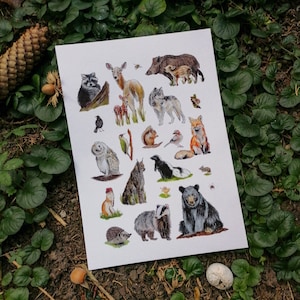 Forest loving animals art print