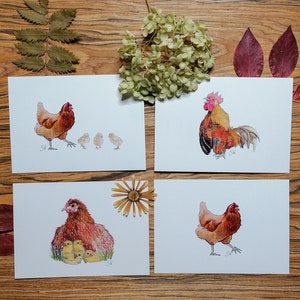 Cartes postales merveilleusement peintes à la main - poulets