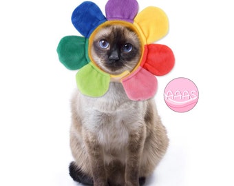 Murakami Flower Inspired Cat Dog Pets Halloween  Costume Cosplay