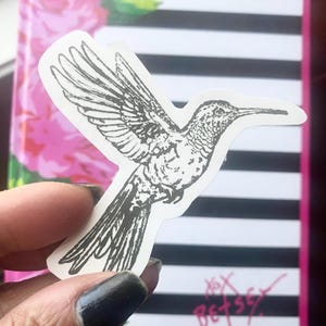 Hummingbird Matte White Sticker