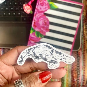 Platypus Matte White Sticker