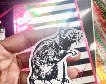 May include: A black and white sticker of a rat with a detailed illustration of its fur and features.