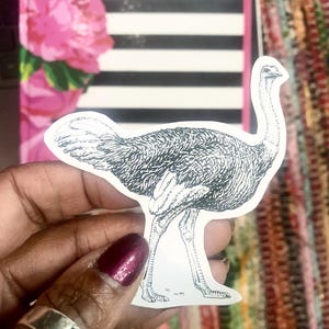Ostrich Bird Matte White Sticker