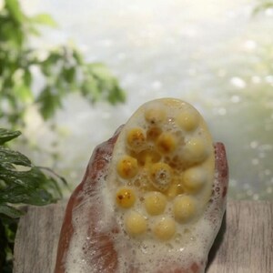 Turmeric Face & Body bar