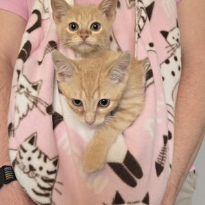 Cuddle sling