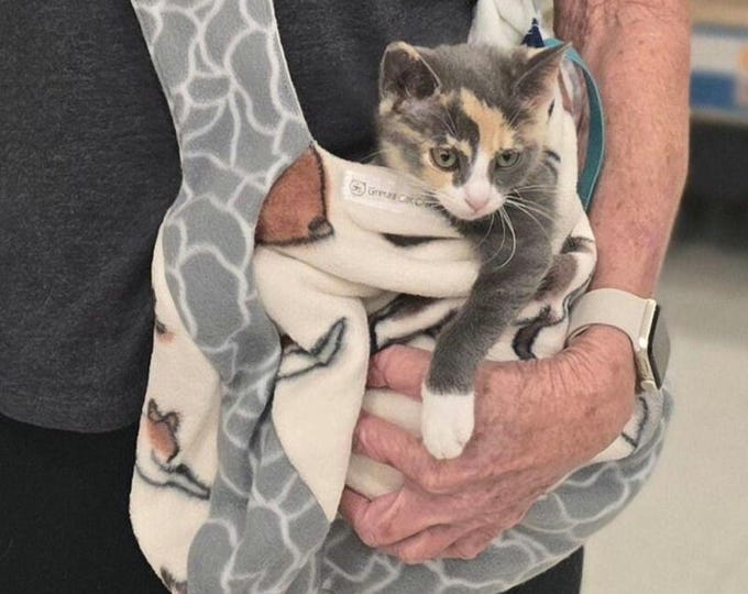 Walk Around Cat Carrier