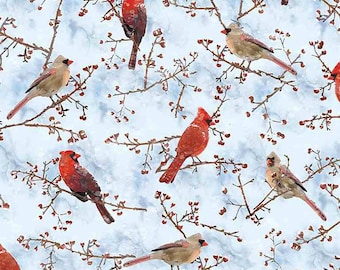 Cardinal Bird - Little Ocean Blue Studio - Fabric By The Yard - 100% Cotton - CD1217