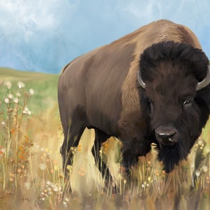May include: A brown and black bison stands in a field of tall grass and wildflowers. The bison is looking directly at the viewer with a serious expression. The background is a blue sky with white clouds.
