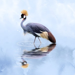 Contemplating Crane - Original Art Prints by Thomas Little