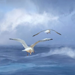 Meer Und Möwen - Original Kunstdrucke von Thomas Little