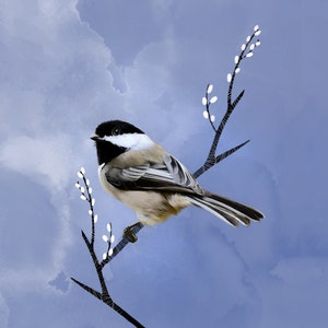 Black-Capped Chickadee - Original Art Prints by Thomas Little