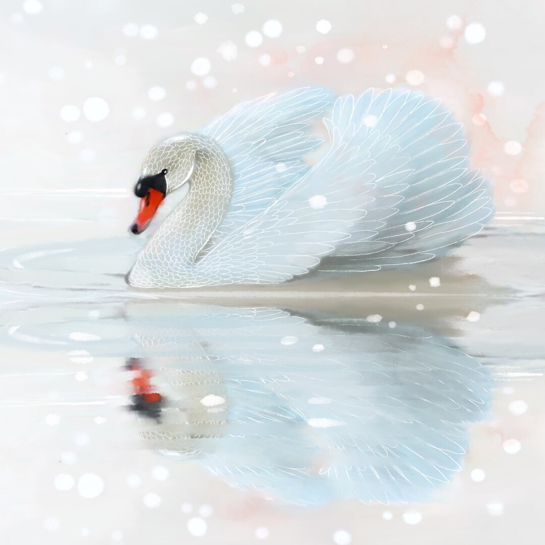 Swan and Falling Pedals - Original Art Prints by Thomas Little - Etsy