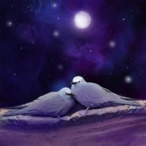 Night Terns - Original Art Prints by Thomas Little