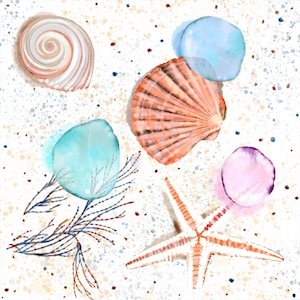 Shells Sand And Sea Glass - Original Art Prints by Thomas Little