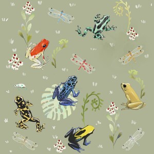 Dart Frogs - Original Art Prints by Thomas Little