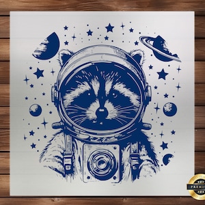 Houston DTF Transfer, I Have So Many Problems Funny Raccoon, Cartoon Design, Easy Application, Quirky Apparel, Ready to Press, Iron on Decal