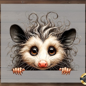 Curly Haired Opossum DTF Transfer, Funny Animal Face Design, Ready to Press DIY Shirt Idea, Cute Cartoon Critter Print for Crafting