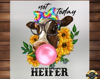 Not Today Heifer DTF Transfer: Sassy Farm Cow Design