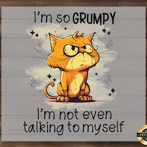 May include: A cartoon illustration of a grumpy orange cat with big eyes and a frown. The cat is sitting with its legs crossed and has the text "I'm so GRUMPY I'm not even talking to myself" written above and below it.