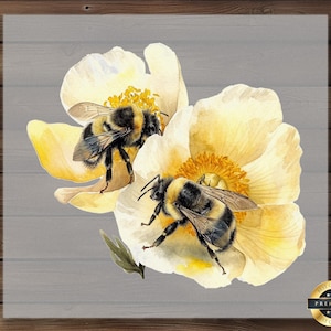 Bumble Bee DTF Transfer, Realistic Bees on Dandelion Flower, Ready to Press DIY Print for Shirts, Nature Insect Decor, Bee Art Print