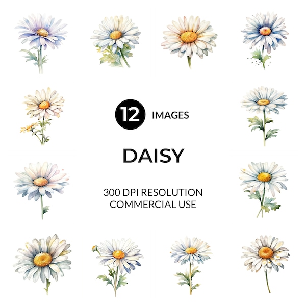 Watercolor Daisy Clipart  |  High Quality JPGs  |  Digital Download  |  Instant Download  |  Clipart Bundle  |  Watercolor Clipart