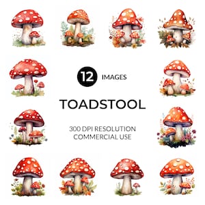 Aquarelle de champignon vénéneux |  JPG de haute qualité |  Téléchargement numérique |  Téléchargement instantané |  Lot de cliparts |  Clipart aquarelle