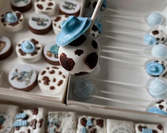 Cowboy Western Cakepops Babyshower Party