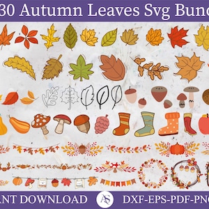 230 Fall leaves Svg, Fall svg, Fall leaf svg bundle, Fall png, dxf, clipart, Cut files for Cricut, Glowforge file, Silhouette, Halloween svg