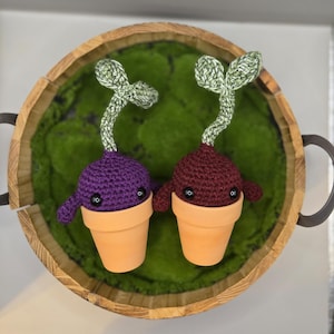 May include: Two handmade crochet plant figures. One is purple, the other is maroon, each with a small terracotta pot base. The plants have green and white stems and leaves. The figures have black button eyes and small arms. They are set in a wooden tray with green moss.