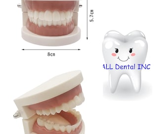 Dental Model Training Teeth Model For Dentist Technician/Practice Teaching Gum Teeth/Dental Teeth study model
