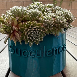Może przedstawiać: Teal zielona doniczka z wygrawerowanym słowem "Succulence" na boku. Doniczka jest wypełniona różnymi zielonymi sukulentami.