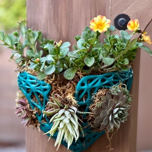 Puede incluir: Un macetero geométrico azul turquesa con una variedad de suculentas y pequeñas flores amarillas. El macetero está colgado en una superficie de madera.