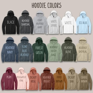 Sudadera con capucha bordada unisex de manga larga con diseño de resort deportivo para Nintendo Wii de la isla Wuhu, personalizada en varios colores imagen 5