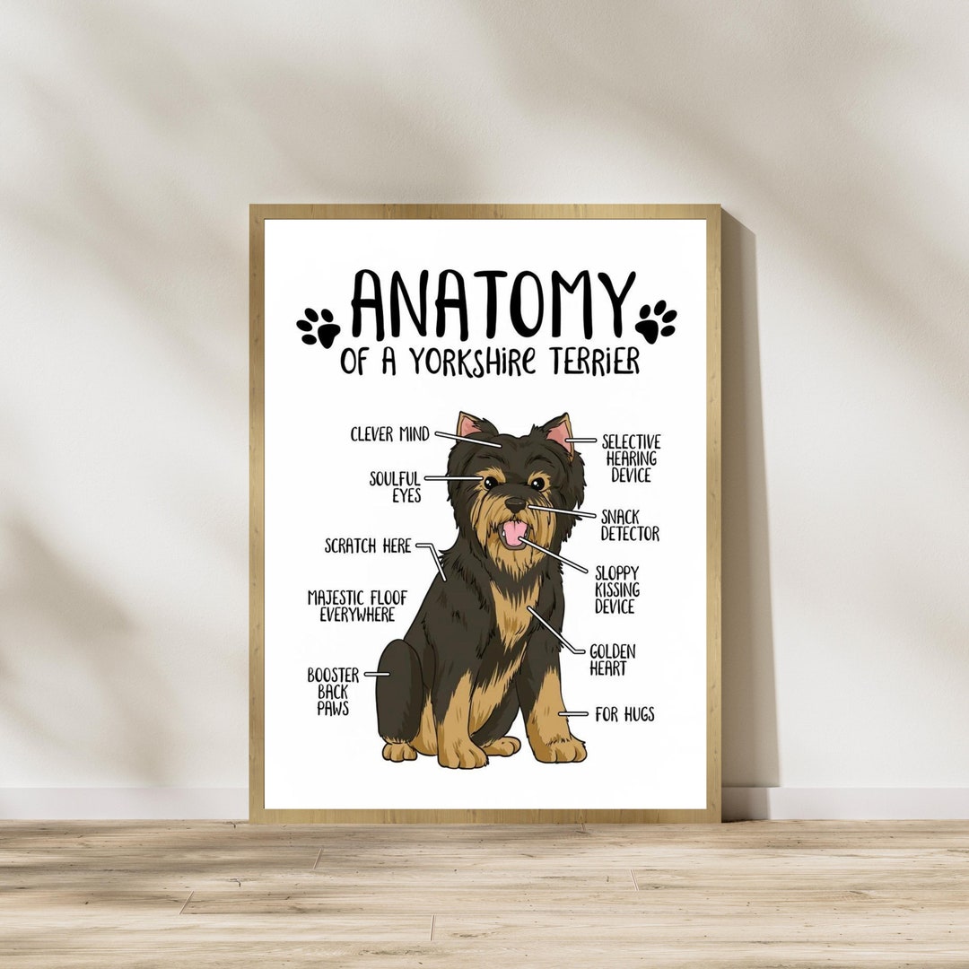 Anatomy of a Yorkshire Terrier Wall Art Yorkie Dog Printable Etsy