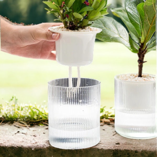 Self-Watering Indoor  Plant Pot for Home Bonsai & Boho Decor