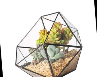 Geometric Terrarium Mother's Day Christmas Gift Pitcher Plant Moss Close Display Decorated Planter