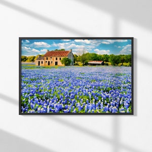 Texas Bluebonnet Field, Rustic Farmhouse in Country Landscape Wall Art, Vintage Barn Decor, Large Canvas Print, Nature Home Decoration