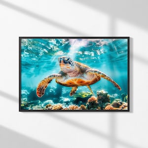 Sea Turtle Underwater Photo: Tropical Ocean Wall Art