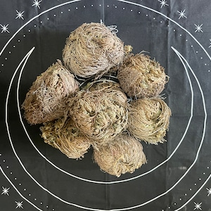 May include: A group of seven brown and gray dried flower balls, also known as a resurrection plant, arranged on a black fabric background with a white crescent moon design.